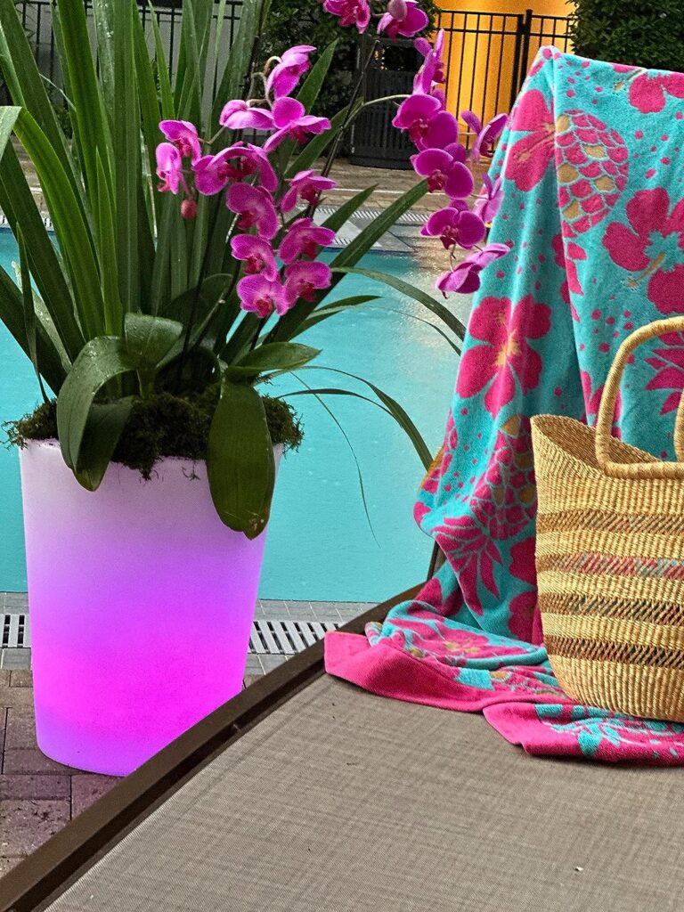 Illuminated Portable Led Cone Planter - Indoor Outdoor Waterproof - Wireless RGB LED Energy Efficient Bulb - Remote Control LED - 8 Ambient Colors - Latest USB Charging Technology, White, Medium