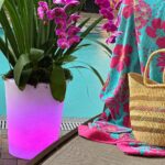 Illuminated Portable Led Cone Planter Bonus Review