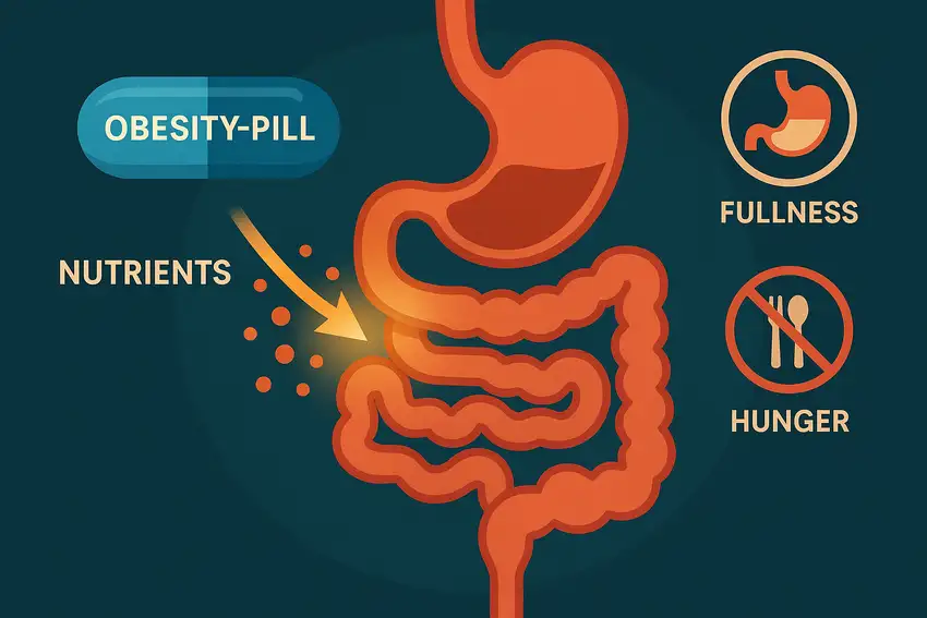 Can SYNT-101 Mimic Gastric Bypass