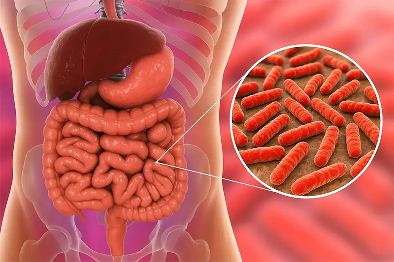 Why a Healthy Diet Is More Effective Than Fecal Transplantation.