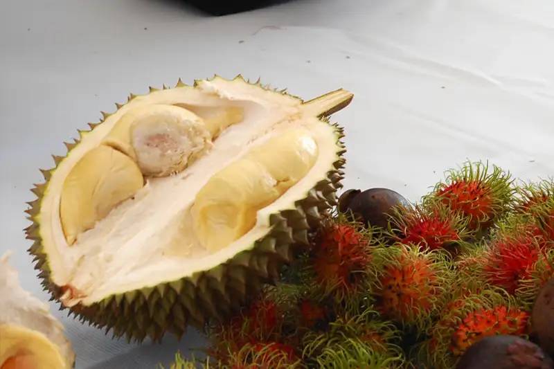 Durian fruit: Strong Smell, But Packed with Nutrients