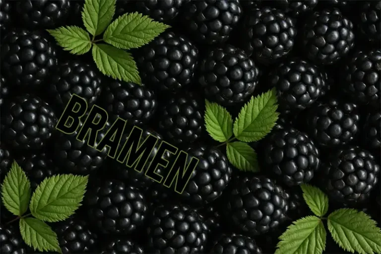 Are Blackberries Healthy? History, Origin, Nutrients and Kitchen Uses + 3 Recipes