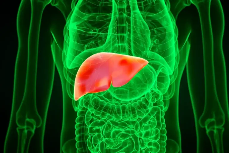 Restore Your Liver After Alcohol Abuse! These Practical Steps Actually Work.