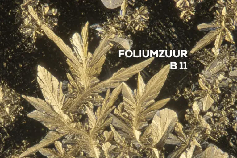 Vitamin B11 (Folic Acid): Support for Cell Growth, Repair, and Pregnancy 💛.