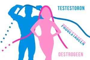 Sex Hormones Estrogen, Progesterone, Testosterone: How They Control Your Brain and Behavior.