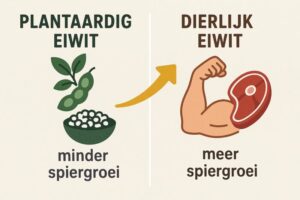 What science says about plant-based versus animal protein for muscle building.