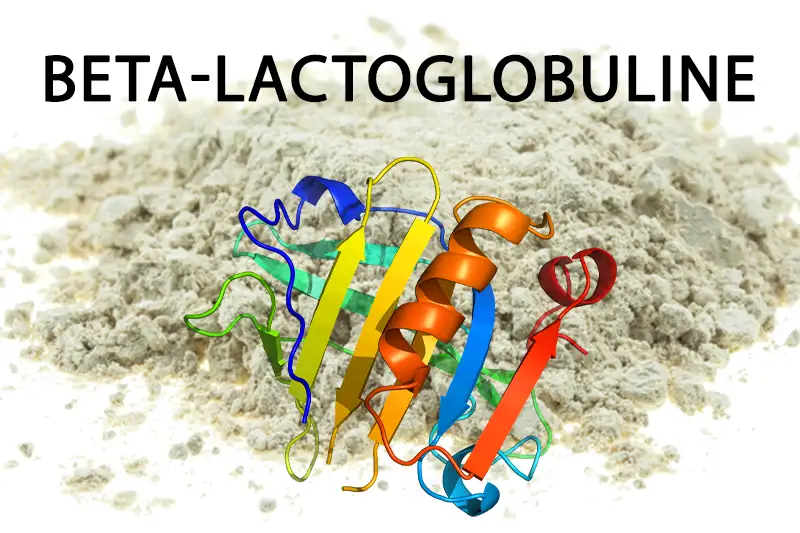 Whether beta-lactoglobulin could dethrone whey as the king of proteins.