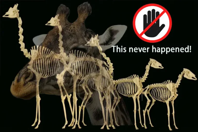 Critical flaws in evolution theory reviewed with insights from Dr. James Tour.