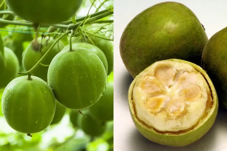 Monk fruit heeft veel meer in huis dan altijd dachten
