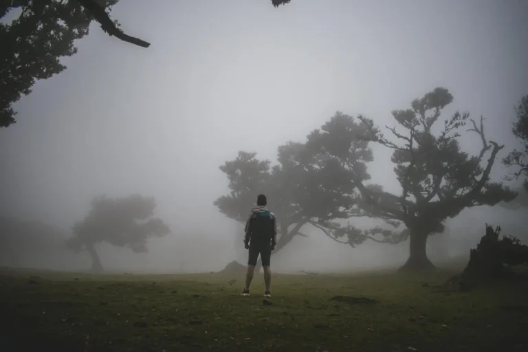 A lone figure walks a misty forest path, evoking the inner work of stopping the fight with one's own thoughts