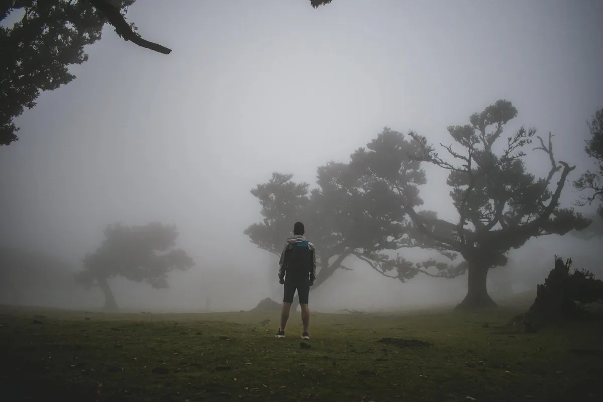 A lone figure walks a misty forest path, evoking the inner work of stopping the fight with one's own thoughts